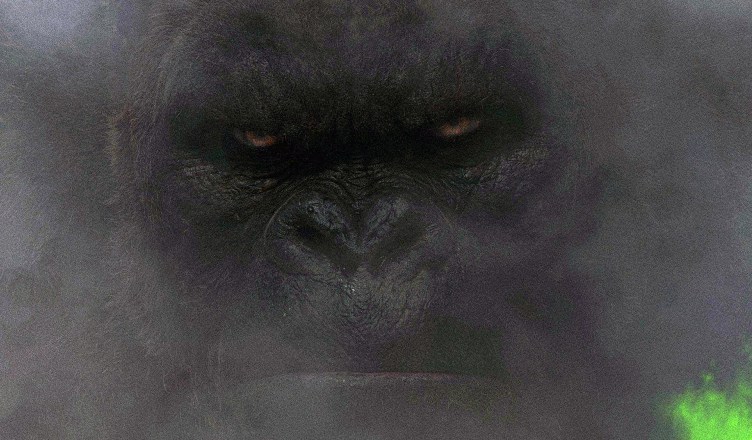 Kong placeholder