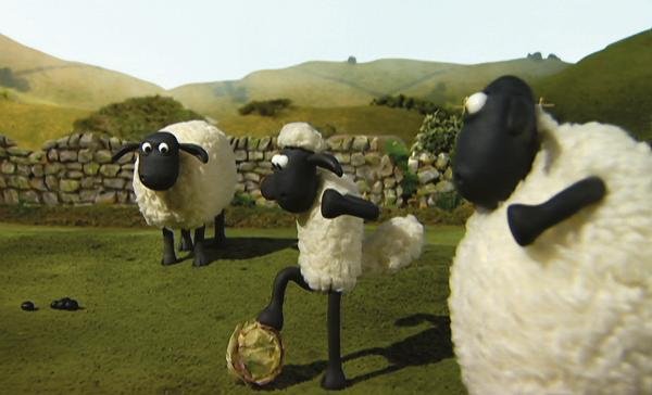 353311 854470 shaunthessheep int photography 464097 00017 web