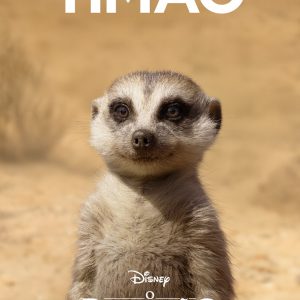 TYCOON CHAR BANNERS ANIMALS NAMES TIMON BRAZIL