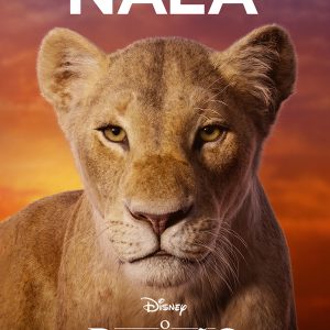 TYCOON CHAR BANNERS LIONS NAMES NALA BRAZIL