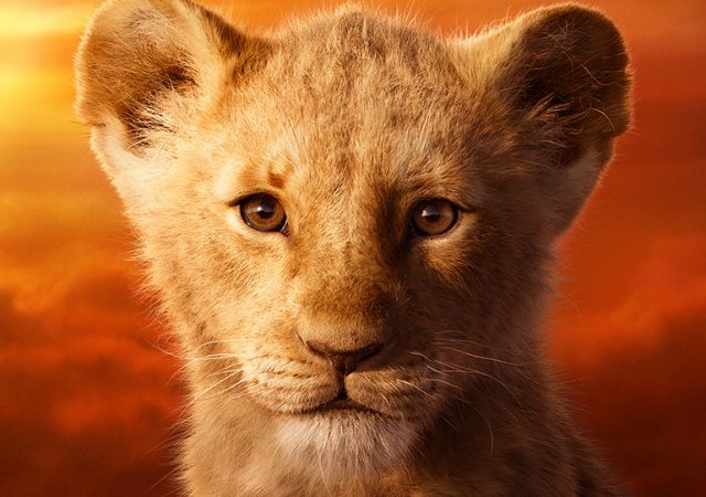 TYCOON CHAR BANNERS LIONS NAMES SIMBA YOUNG BRAZIL