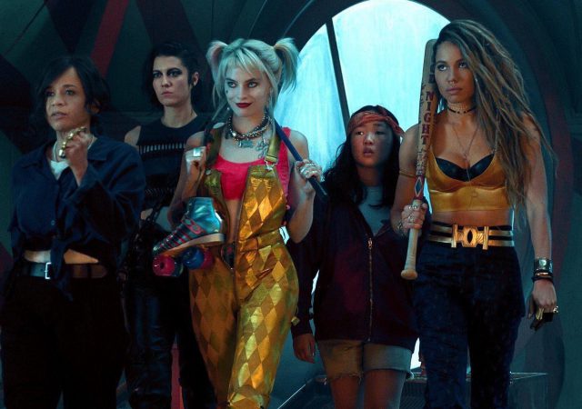 cropped BIRDS OF PREY AVES DE RAPINA HARLEY 1