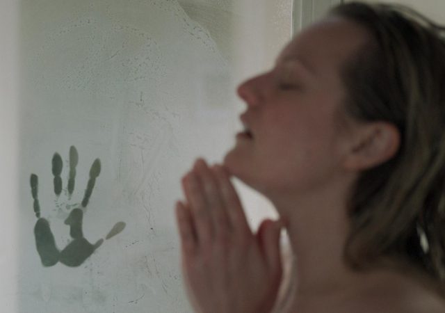 20191107 invisivel moss