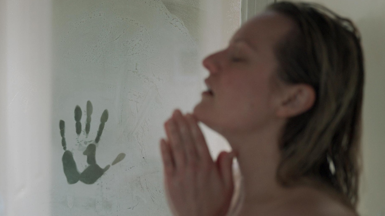 20191107 invisivel moss