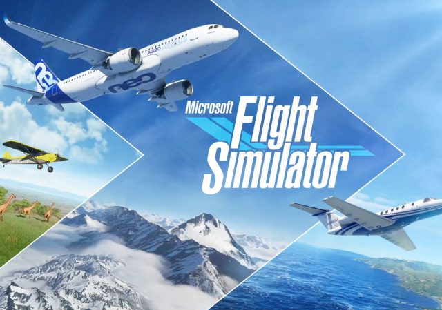 Flight Simulator