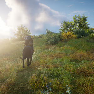 Assassins Creed Valhalla Screenshot 2020.11.26 00.00.07.34
