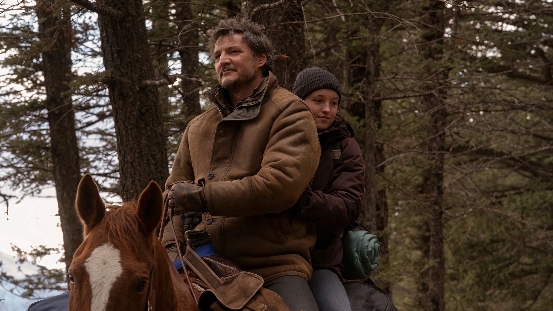 the last of us hbo