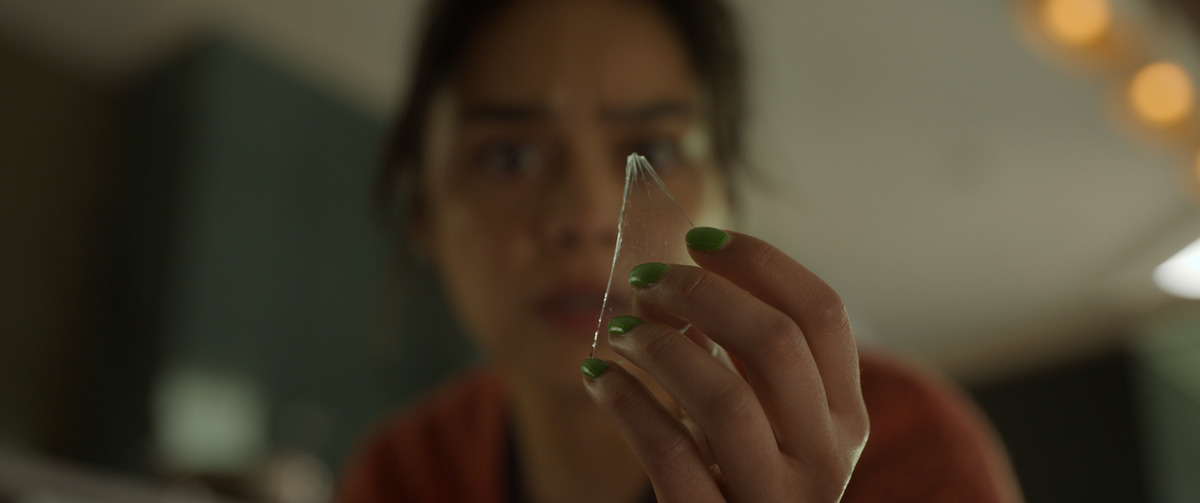 rev 1 FDB FP 046 High Res JPEG 1