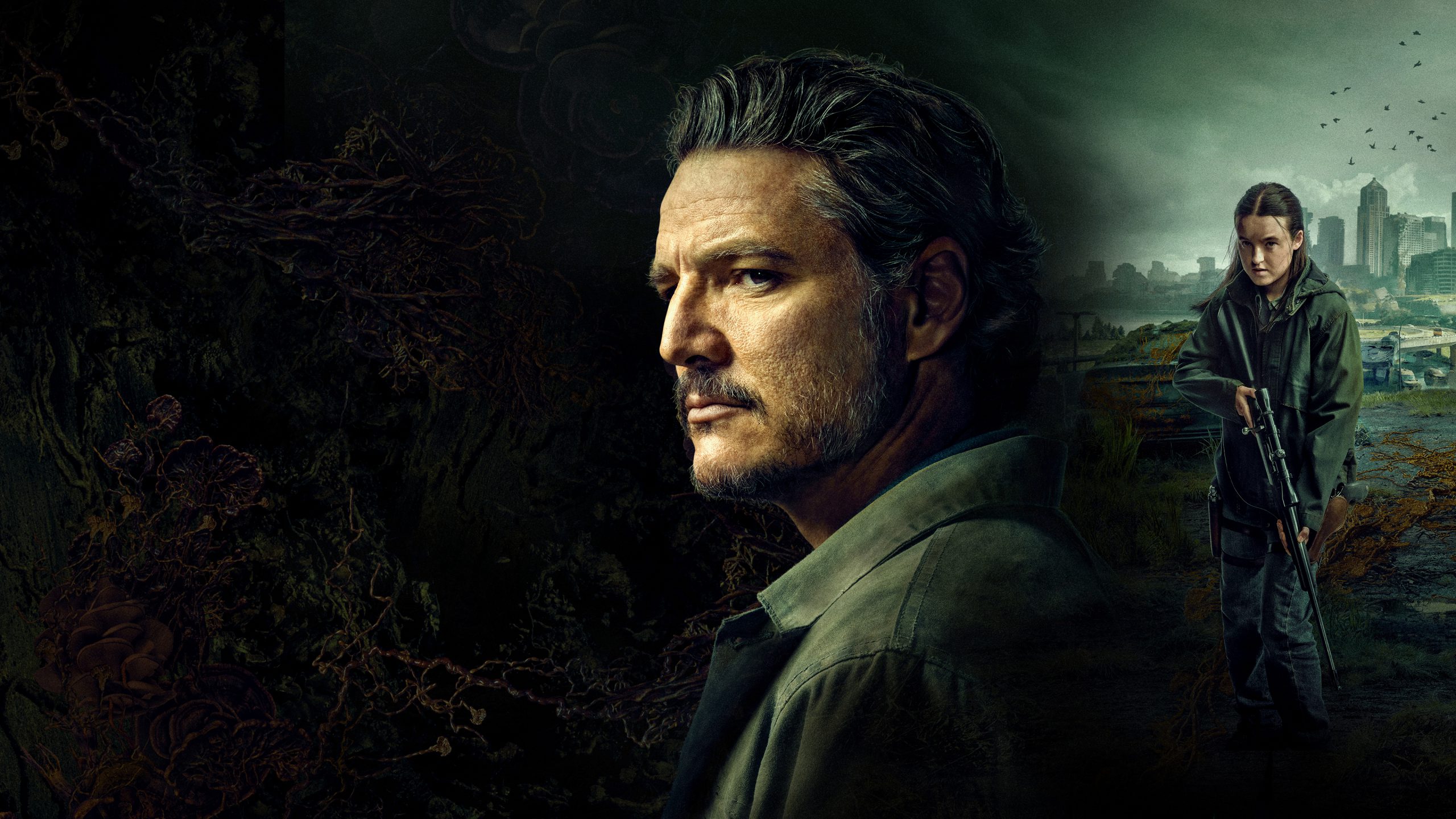 fd080a62de8a40da07def0c985e8baaee8117f6f2a691eeb403a3907014e61ea scaled